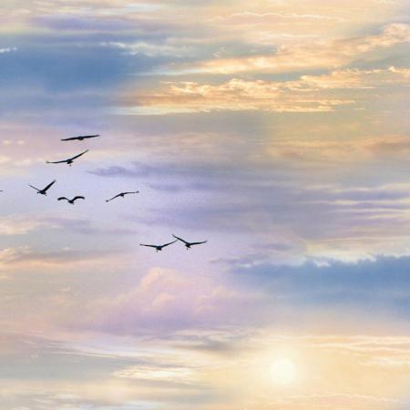 Birds on Colorful Sky with Sun Fabric