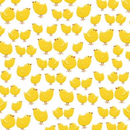 Farm Life Little Chicks on White