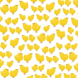 Farm Life Little Chicks on White