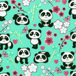 Pandas on Aqua